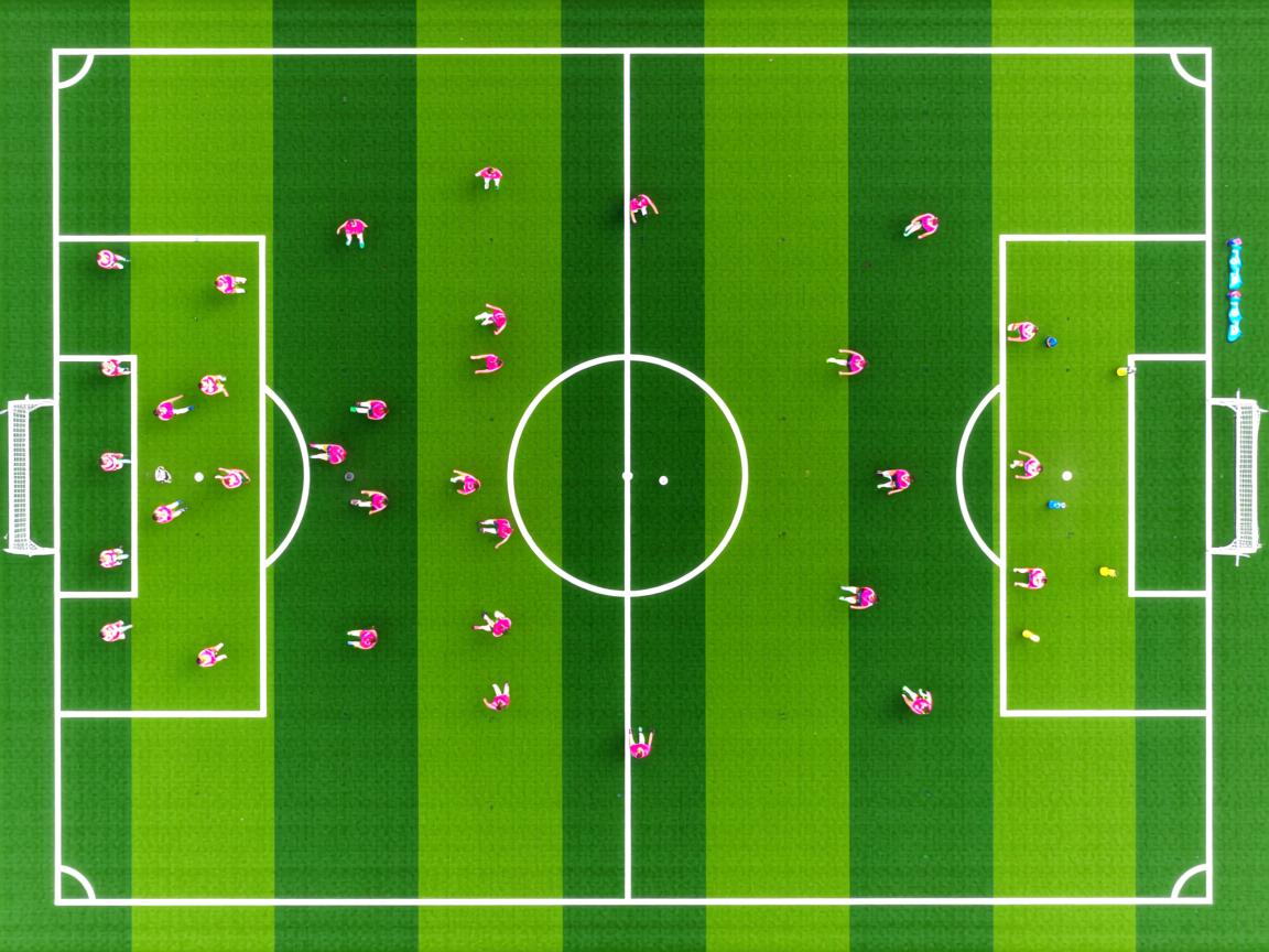 九游官网入口充值-埃弗顿中场保护能力增强稳定后防线，埃弗顿新主场