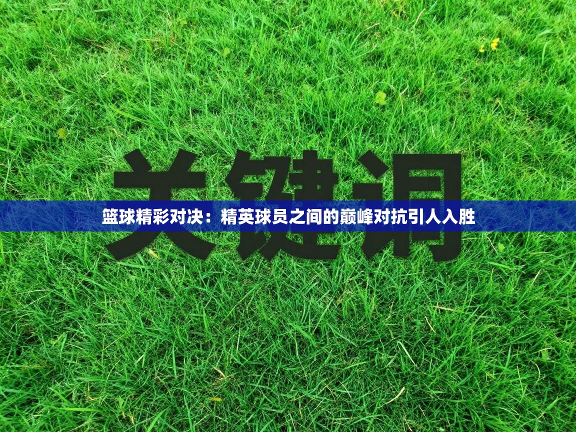 篮球精彩对决:精英球员之间的巅峰对抗引人入胜 第2张